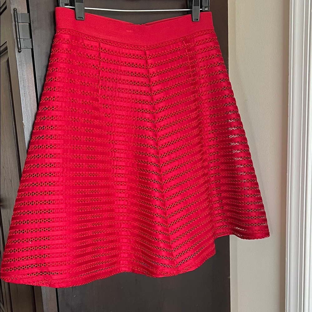 H&M Scarlet A-Line Skirt